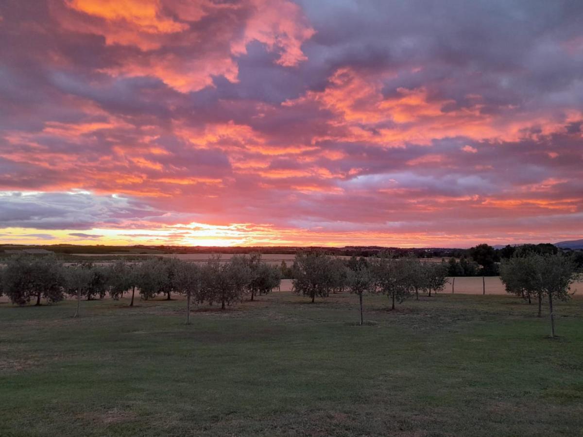 Podere Molinaccio Panicale Buitenkant foto
