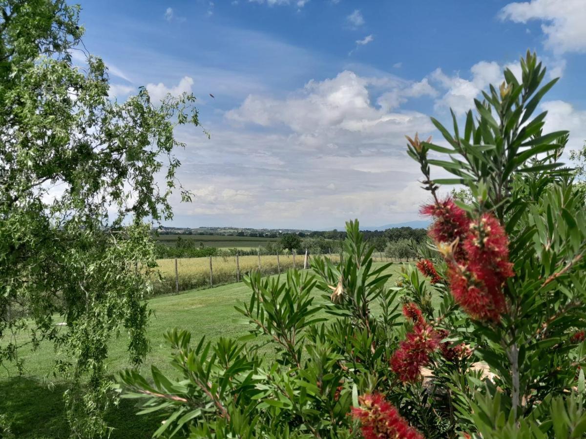 Podere Molinaccio Panicale Buitenkant foto