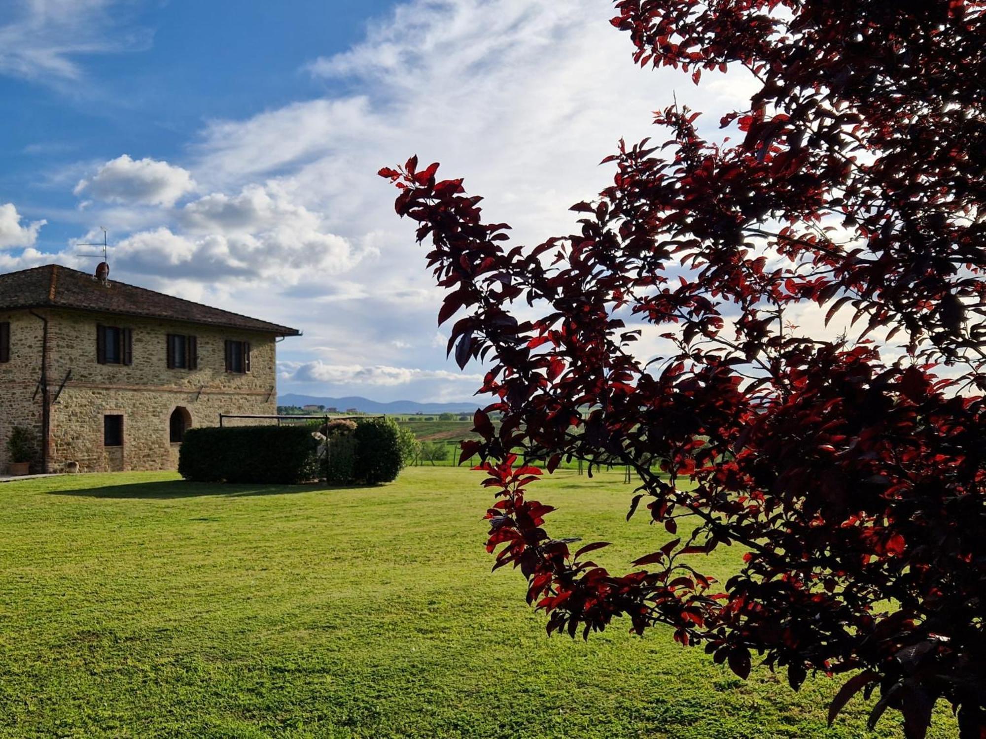 Podere Molinaccio Panicale Buitenkant foto