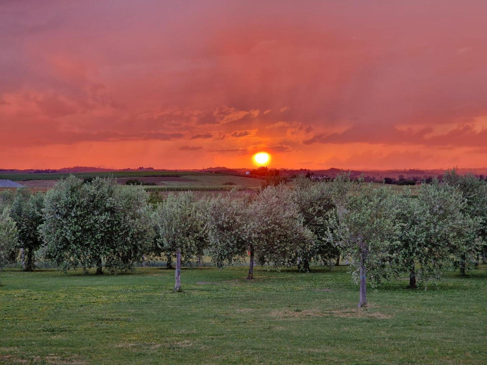 Podere Molinaccio Panicale Buitenkant foto